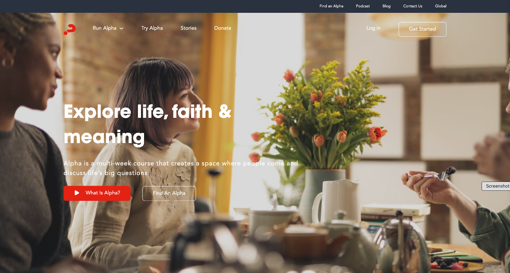 Alpha Course Video - link
